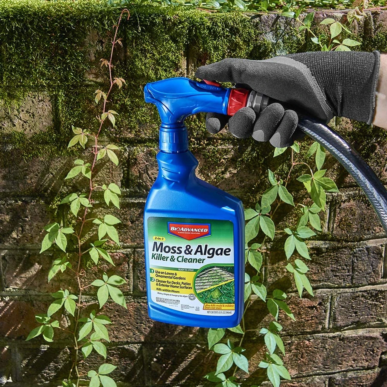 Bayer Moss & Algae, 32oz 6 Bayer Moss & Algae, 32oz - Image 4