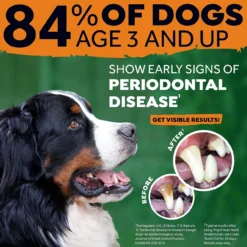 Tropiclean Fresh Breath Oral Care Kit -Garden Supplies Sales 2024 81 A58IofaL. AC SL1500 62100.1649962673