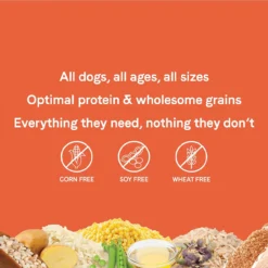 Canidae Chicken & Rice -Garden Supplies Sales 2024 81e3GjnhuNL. AC SL1500 14173.1616368879