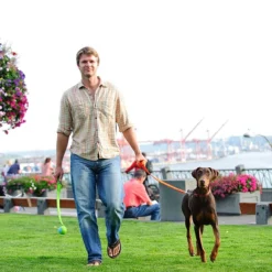 Chuckit! Junior Launcher Fetch Toy 12 Chuckit! Junior Launcher Fetch Toy -Garden Supplies Sales 2024 81fAsthi7WL. AC SL1500 72844.1614022422