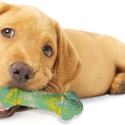 Nylabone Wolf Puppy Double Action Puppy Chew Peanut Butter And Banana Flavor -Garden Supplies Sales 2024 81ihF2gpZaL. AC SL1500 94042.1614898046