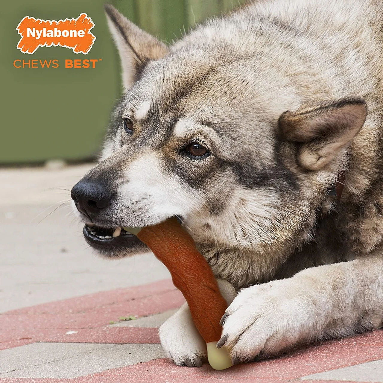 Nylabone Dura Chew Power Meaty Rib Alternative, Large 7 Nylabone Dura Chew Power Meaty Rib Alternative, Large - Image 5