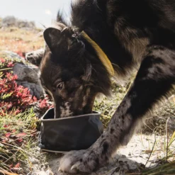 Hurtta Fountain Bowl -Garden Supplies Sales 2024 915zdyOBodL. AC SL1500 23662.1623372530