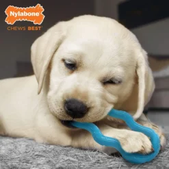 Nylabone Blue Puppy Chew Toy Teething -Garden Supplies Sales 2024 91OunXO5b2L. AC SL1500 07080.1614904186