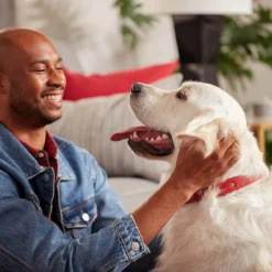 Milk Bone Original Biscuits, Large, 10lb 9 Milk Bone Original Biscuits, Large, 10lb -Garden Supplies Sales 2024 91WxPBGPWdS. AC SL1500 49919.1631489810