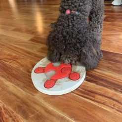 Petrageous ThinkRageous Interactive Pet Toy, Advanced -Garden Supplies Sales 2024 91sZh5ITRpL. AC SL1500 80132.1626731779