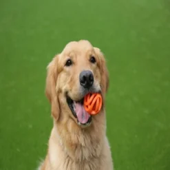 Chuckit! Breathe Right Fetch Ball, 2PK -Garden Supplies Sales 2024 93400492 71936.1613501576