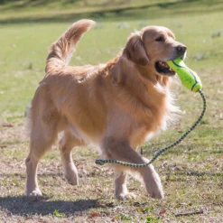 Kong Fetch Stick With Rope, Large -Garden Supplies Sales 2024 A1EiWGg7hTL. AC SL1500 85714.1614989965