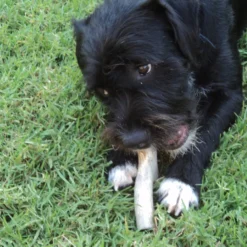 Re.Racks Antler Chews -Garden Supplies Sales 2024 Antler Chews Medium 04855.1626986991