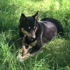 Re.Racks Antler Chews -Garden Supplies Sales 2024 Antler Chews XL 2 59232.1626986991