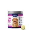 Vetericyn All-In Puppy, 90ct -Garden Supplies Sales 2024 BOTTLE 1710 90ct VetericynAll In Puppy 600x600 10300.1667677606