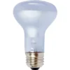 Agrosun Dayspot Incandescent Bulb, 60W -Garden Supplies Sales 2024 BURP413 1 21308.1644885723