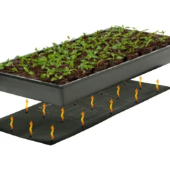 JumpStart Germination Station 7 JumpStart Germination Station -Garden Supplies Sales 2024 CK64050 4 14081.1644948708