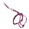 PetSafe Come With Me Kitty™ Cat Harness & Bungee Leash, Rose -Garden Supplies Sales 2024 CWMK DST BURG a 51649.1648686188