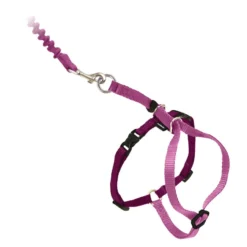 PetSafe Come With Me Kitty™ Cat Harness & Bungee Leash, Rose