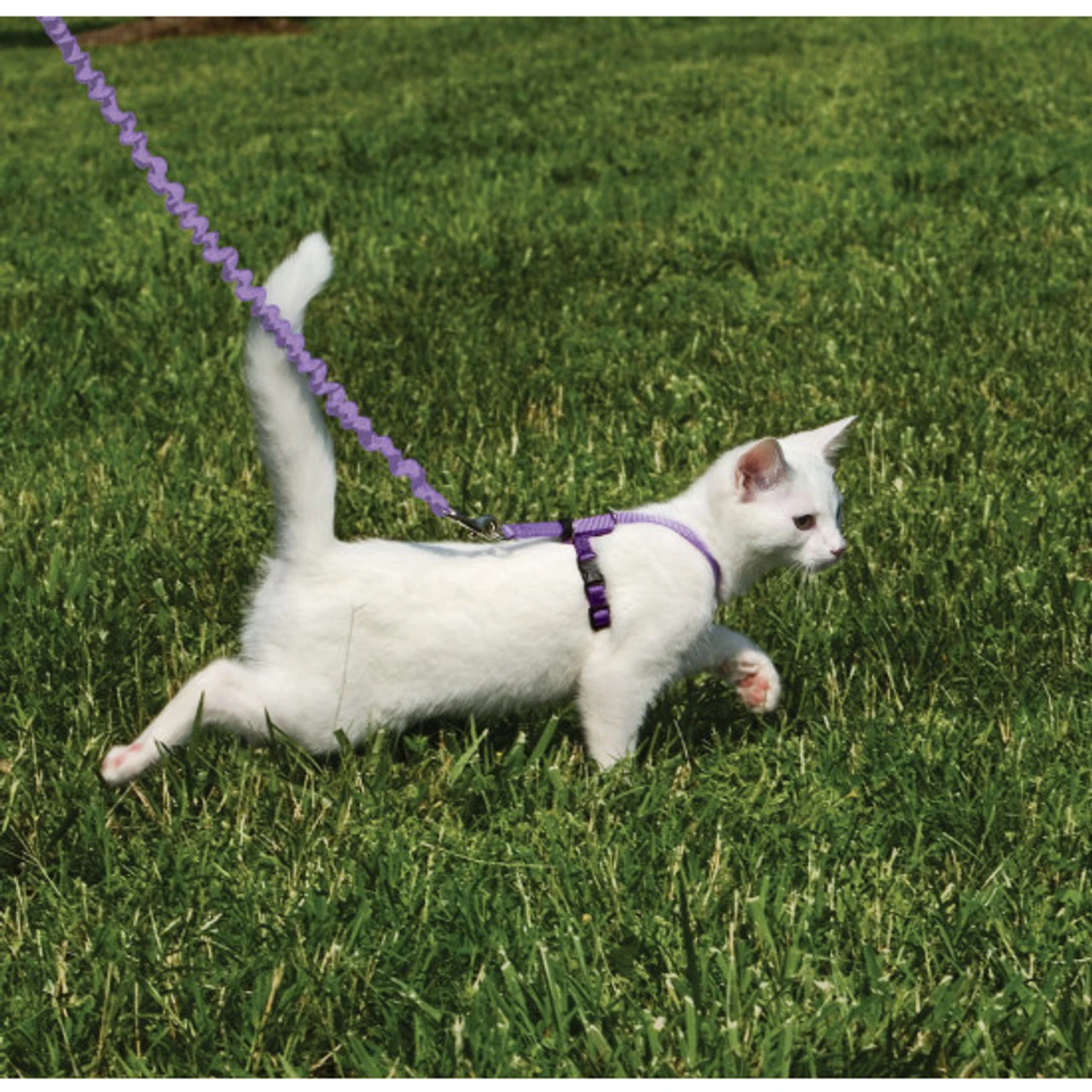 PetSafe Come With Me Kitty™ Cat Harness & Bungee Leash, Lilac 5 PetSafe Come With Me Kitty™ Cat Harness & Bungee Leash, Lilac - Image 3