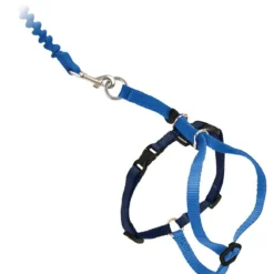 PetSafe Come With Me Kitty™ Cat Harness & Bungee Leash, Blue
