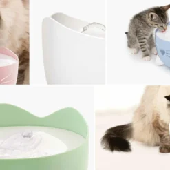 Catit Pixi Fountain, Pink 7 Catit Pixi Fountain, Pink -Garden Supplies Sales 2024 Catit PIXI fountain colors 2048x1152 27910.1666042605