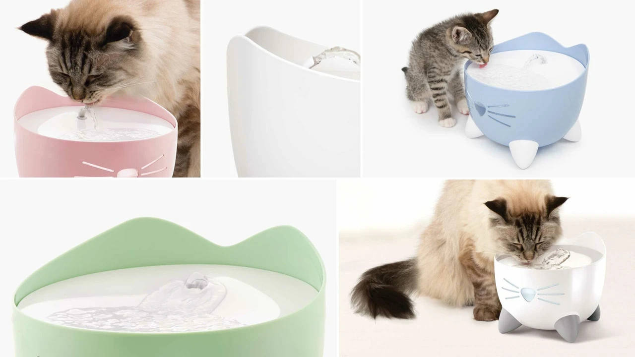 Catit Pixi Fountain, Pink 5 Catit Pixi Fountain, Pink - Image 3