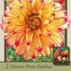 Dinner Plate Dahlia Decorative 'Lady Darlene', 2ct -Garden Supplies Sales 2024 DETA 6164 78053.1645390154