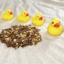 Happy Hen Treats Duck Pond Medley 6 Happy Hen Treats Duck Pond Medley -Garden Supplies Sales 2024 DuckPondMedley Lifestyle 885x885 5b75ae49 4043 484d 865d cba980527e8c 720x 96048.1620768412