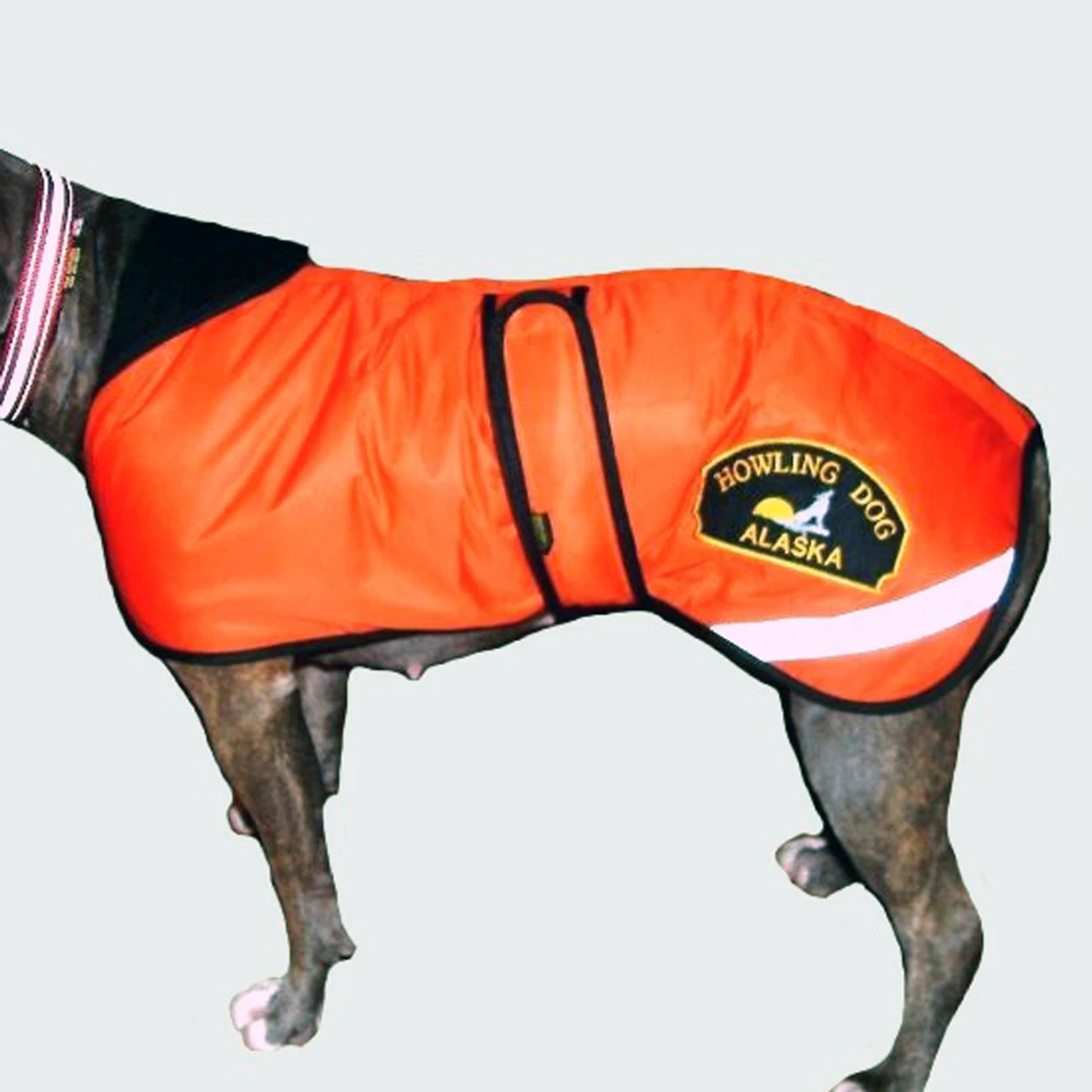 Howling Dog Duracoat, Orange 3 Howling Dog Duracoat, Orange