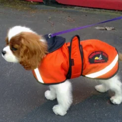 Howling Dog Duracoat, Orange 7 Howling Dog Duracoat, Orange -Garden Supplies Sales 2024 DuraCoatToy 2048x2048 93333.1641521176