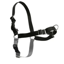 PetSafe Easy Walk® Harness, No Pull Dog Harness, Black