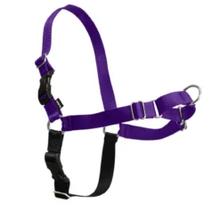 PetSafe Easy Walk® Harness, No Pull Dog Harness, Purple