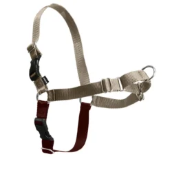 PetSafe Easy Walk® Harness, No Pull Dog Harness, Fawn