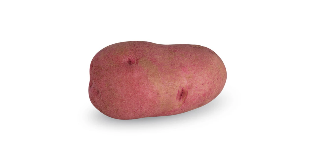 Elmo Red Seed Potatoes, 1lb 3 Elmo Red Seed Potatoes, 1lb