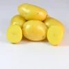 Gioconda Seed Potato, 1lb -Garden Supplies Sales 2024 Giaconda 2 76785.1681938002