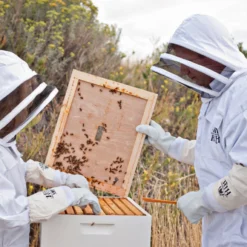 HLH Beekeeping Goat Skin Gloves -Garden Supplies Sales 2024 HIVE SHOT 11 900x 32233.1651365252