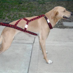 Howling Dog Hound Harness