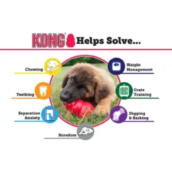 Kong Puppy Blue Or Pink, Small -Garden Supplies Sales 2024 KP1 3 1000x1000 47751.1614476419