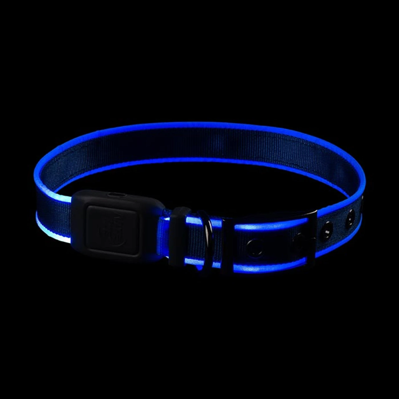 Nite Ize, NiteDog Rechargeable LED Collar, Blue 7 Nite Ize, NiteDog Rechargeable LED Collar, Blue - Image 5