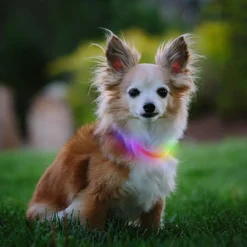 Nite Ize, Nite Howl Mini Rechargeable LED Safety Necklace -Garden Supplies Sales 2024 NHOMR 07S R3 F 0234 SQRGB n 29141.1634946073