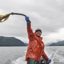 Barnacle Bullwhip Kelp Hot Sauce, 5oz -Garden Supplies Sales 2024 NewPackaging2021 102 2 1800x1800 20738.1635184884