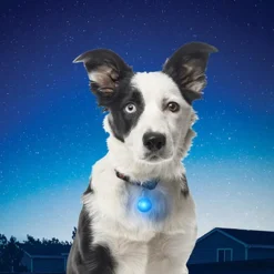 Nite Ize Spotlight Collar Light