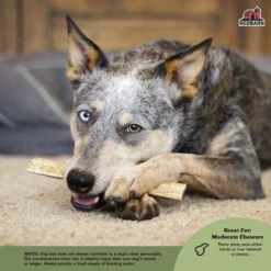 RedBarn Moose Antlers -Garden Supplies Sales 2024 RBPP 714 21AmazonEBC 260104 XLargeHalfDeerAntler Image3 010722 500x.progressive c9aca5ca 284a 43a8 b998 f4eab4924f0d 500x.progressive 06180.1650738304