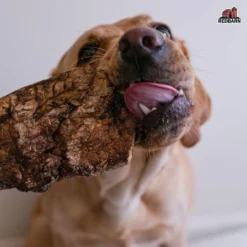 Redbarn Choppers, 9oz -Garden Supplies Sales 2024 RBPP 714 34AmazonEBC 310009 Choppers Image5 111621 1900x.progressive 88031.1659293663