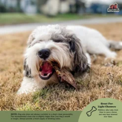 Redbarn Lamb Lung Fillets, 10oz -Garden Supplies Sales 2024 RBPP 714 34AmazonEBC 310011 LambLungFilets Image3 121521 1900x.progressive 93636.1659294615