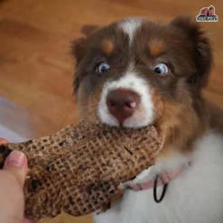 Redbarn Lamb Lung Fillets, 10oz -Garden Supplies Sales 2024 RBPP 714 34AmazonEBC 310011 LambLungFilets Image5 121521 1900x.progressive 69630.1659294615