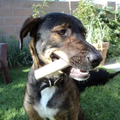 Re.Racks Antler Chews -Garden Supplies Sales 2024 RE.Racks 49982.1626986992