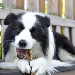 Redbarn Bully Slims, 40pk 11 Redbarn Bully Slims, 40pk -Garden Supplies Sales 2024 Redbarn Bully Slims Dog 13866.1615682559