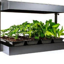SunBlaster T5 Grow Light Garden, Black -Garden Supplies Sales 2024 SL1600200 2 72290.1644949571