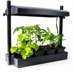 SunBlaster Micro LED Grow Light Garden, Black