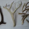 Re.Racks Antler Chews 2 Re.Racks Antler Chews -Garden Supplies Sales 2024 Small RE.RACK Antler Chews 88189.1626901315