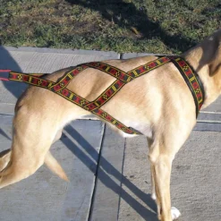 Howling Dog Skijor Standard Harness