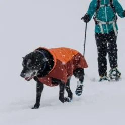 Ruffwear Vert Dog Jacket, Canyonlands Orange -Garden Supplies Sales 2024 WebJPG 05751 Vert Jacket Mt Baker Print 164 640x 14685.1635118511